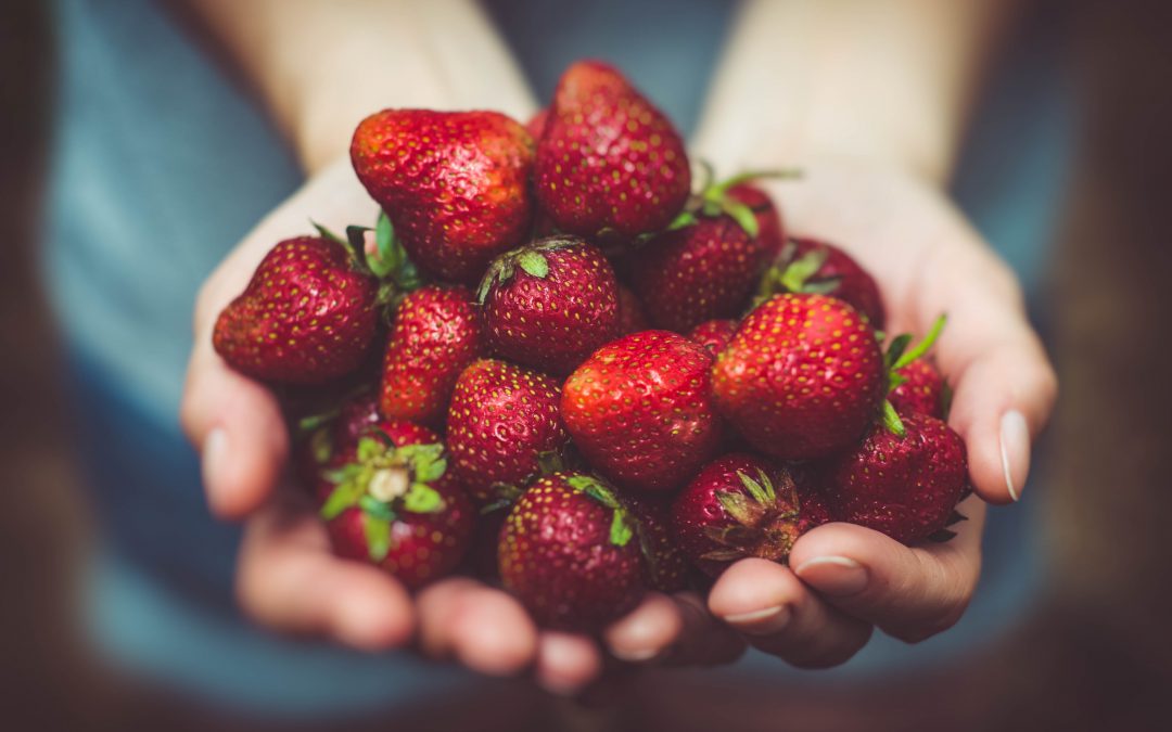 5 tips om meer fruit en groente uit je tuin te halen